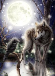 Wolf and Crow in moonlight
